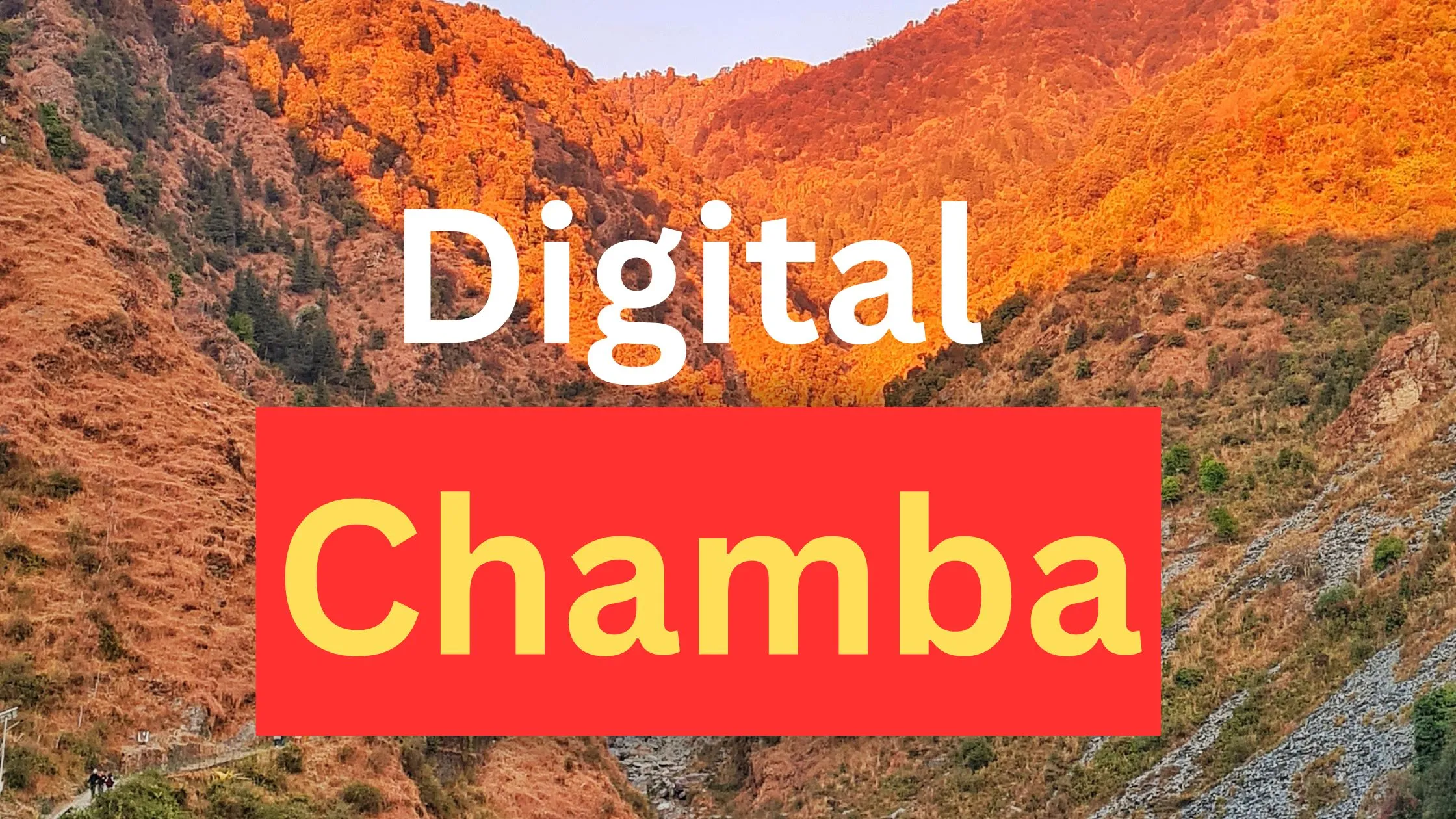 digital-marketing-in-chamba-hp